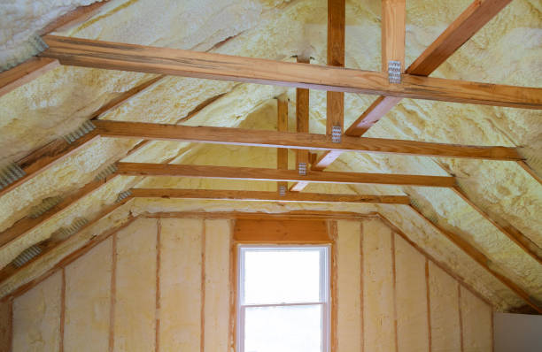 Best Professional Insulation Contractor  in Palatine, IL