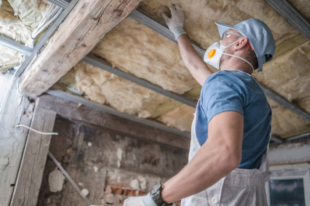Best Best Insulation Companies  in Palatine, IL