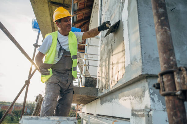 Best Insulation Removal  in Palatine, IL